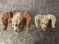 Deathclaw Skull - Integrated Wall Hanger - 2 Sizes 3D printed — Schnapps Caps Australia