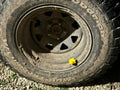 Jeep Duck Valve Cap 3D printed — Schnapps Caps Australia