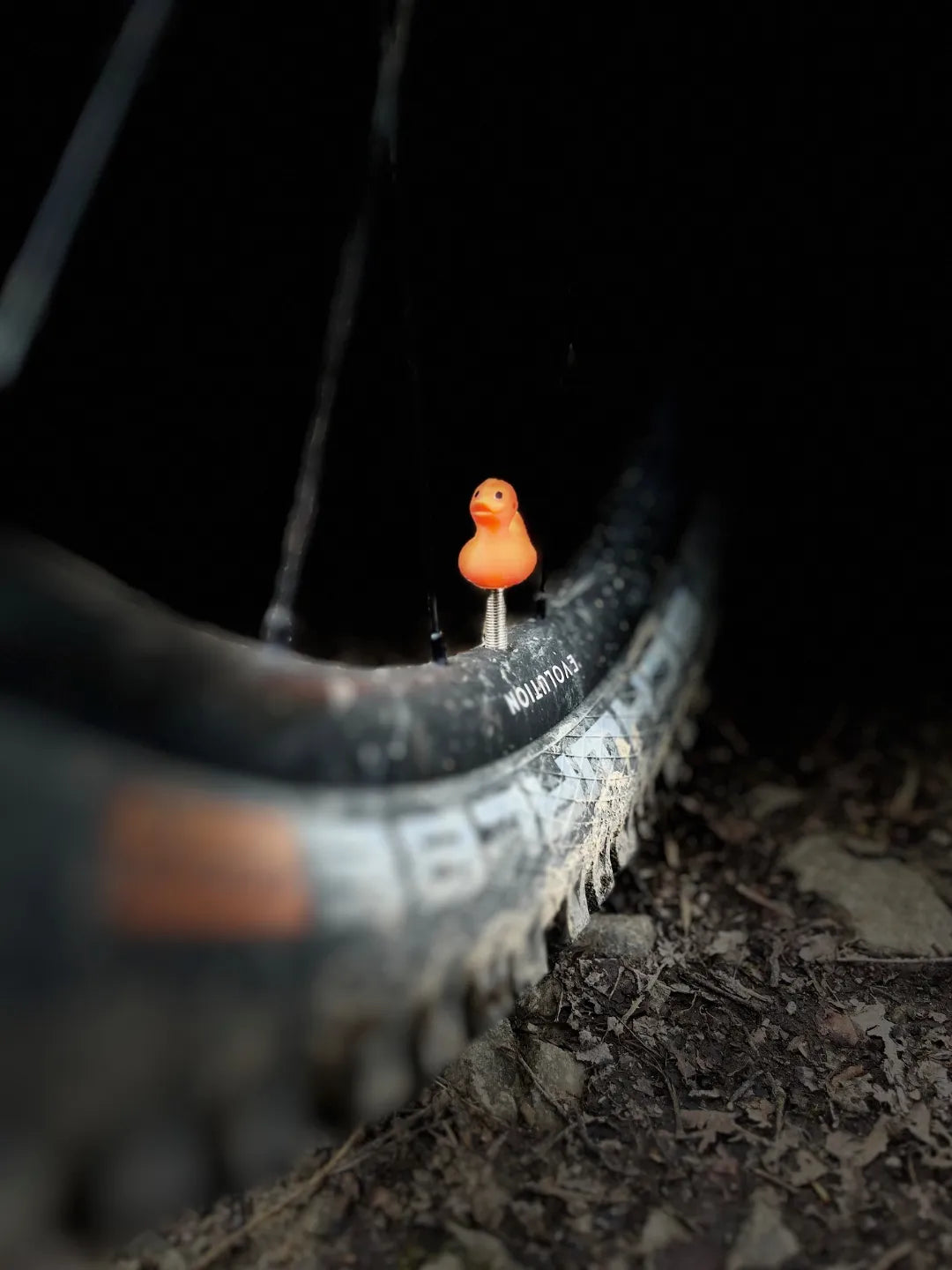 Duck Presta & Schrader Valve Cap 3D printed — Schnapps Caps Australia