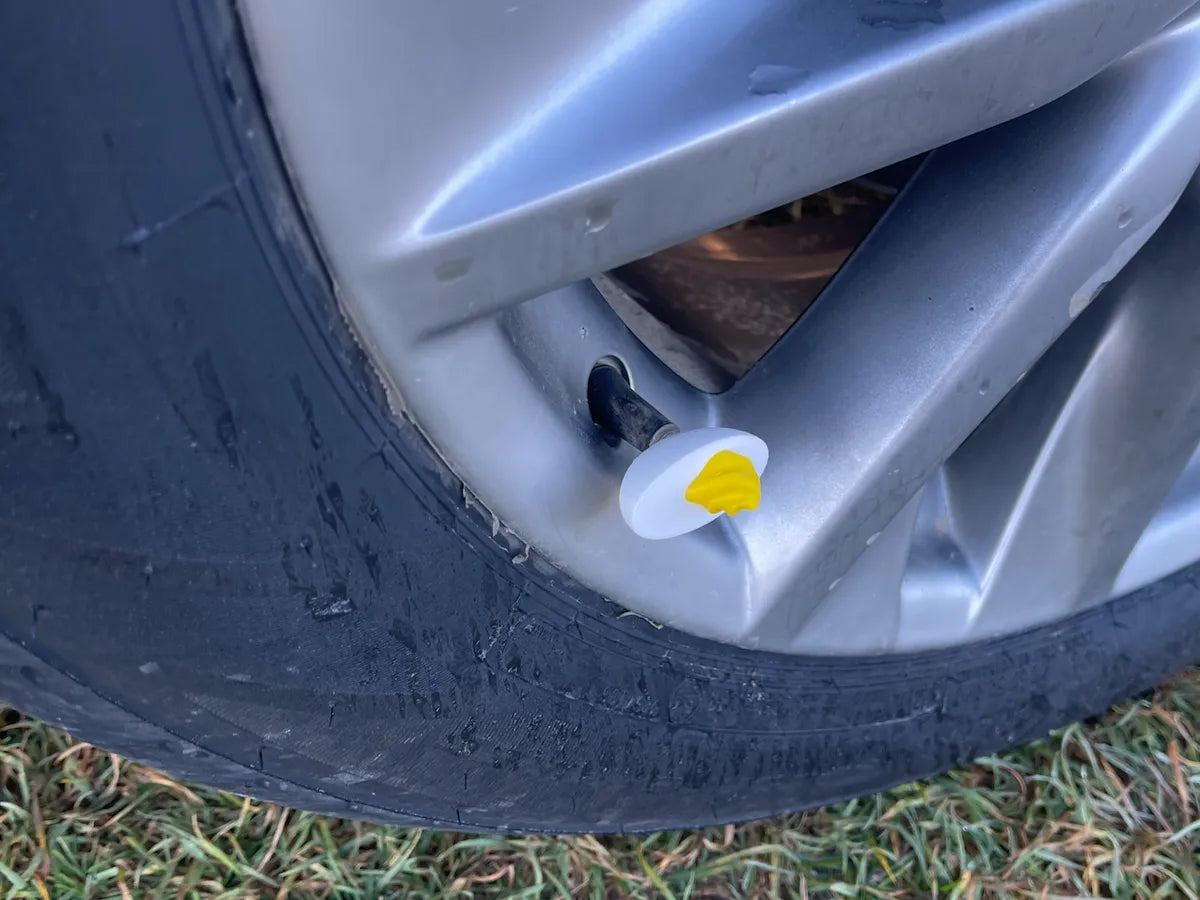 Tire Valve Cap Devilled Egg 3D printed — Schnapps Caps Australia