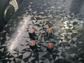 Tesla Valve Caps 3D printed — Schnapps Caps Australia