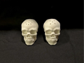 Gothic Skulls Salt & Pepper Shaker Set 3D printed — Schnapps Caps Australia