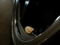 Valve Stem Caps : Skull! For cars and bikes 3D printed — Schnapps Caps Australia