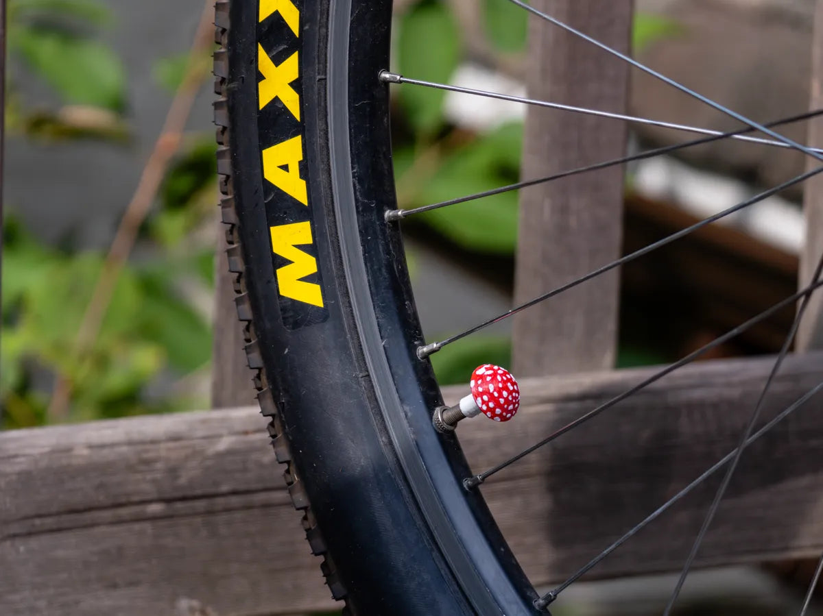 Bike Valve Stem Cap - Mushroom 3D printed — Schnapps Caps Australia
