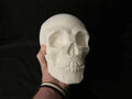 Large Gothic Human Skull Decoration 3D printed — Schnapps Caps Australia