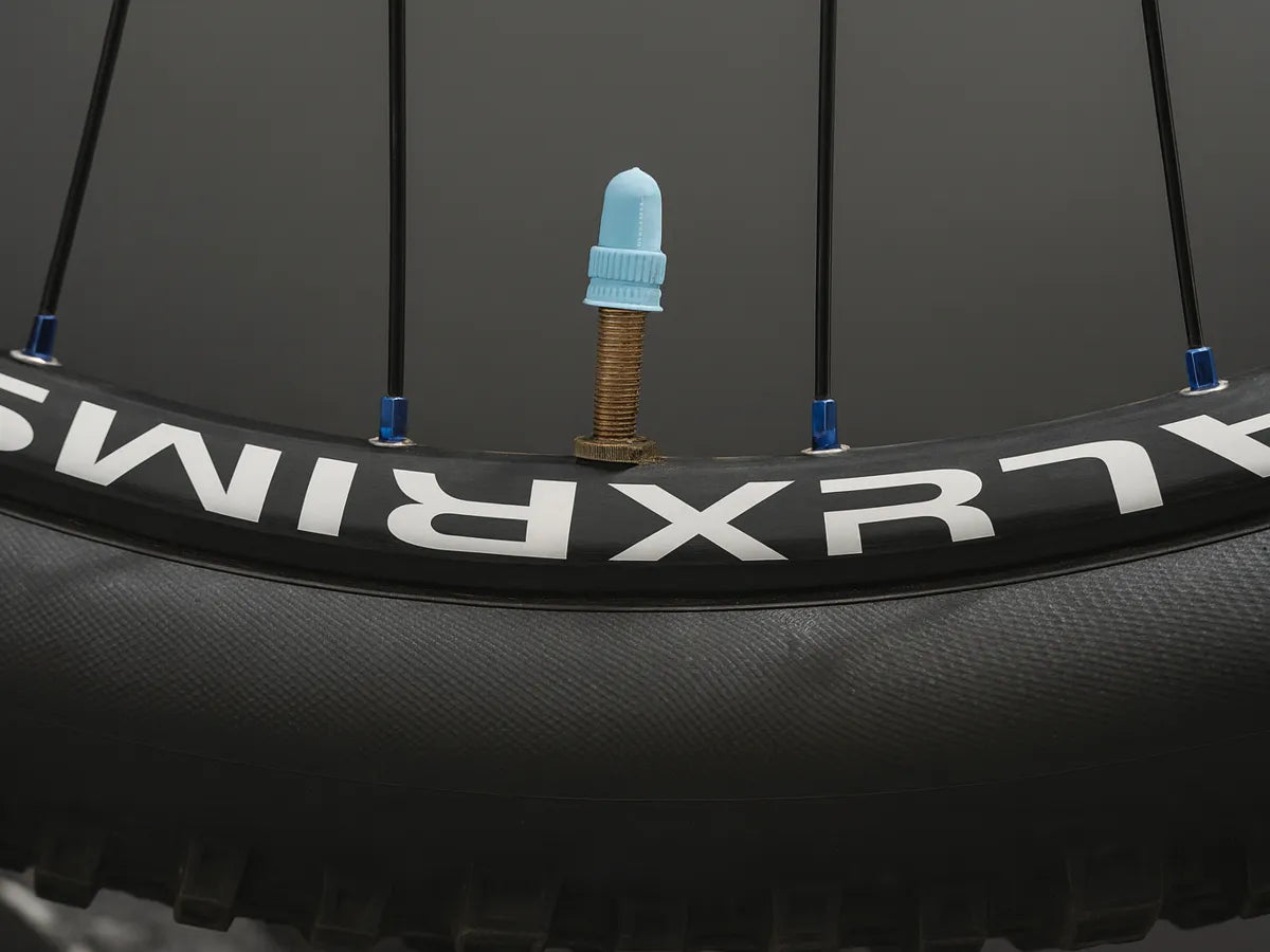 Bicycle Universal Valve Cap 3D printed — Schnapps Caps Australia