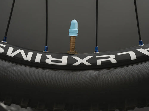Bicycle Universal Valve Cap 3D printed — Schnapps Caps Australia