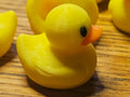 Rubber Ducky Valve Cap 3D printed — Schnapps Caps Australia