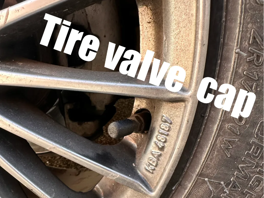 Tire valve cap standart fit all 3D printed — Schnapps Caps Australia