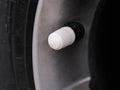 Tire Valve Cap (Dust Protection) 3D printed — Schnapps Caps Australia